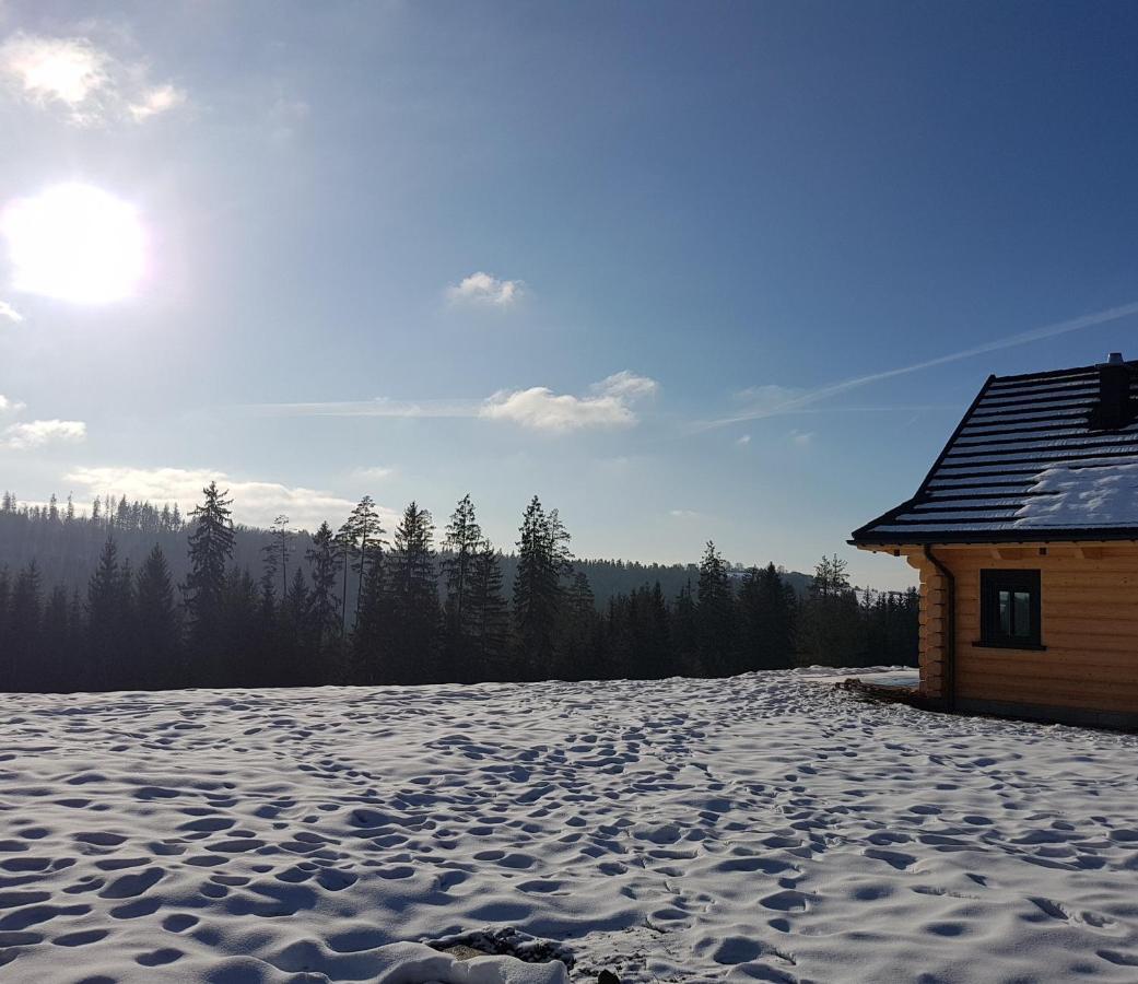 Koniakowo - Dom Pinto Villa Buitenkant foto
