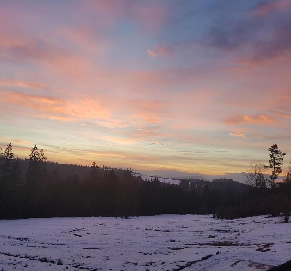 Koniakowo - Dom Pinto Villa Buitenkant foto