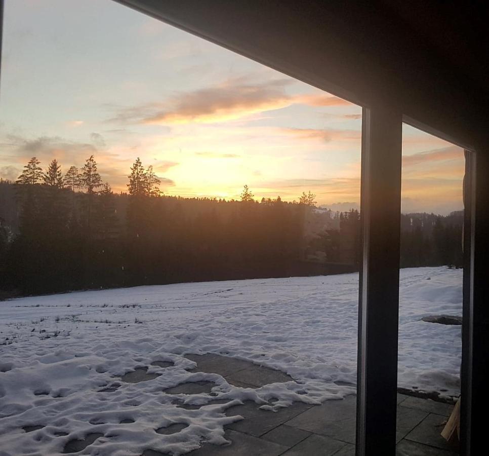 Koniakowo - Dom Pinto Villa Buitenkant foto