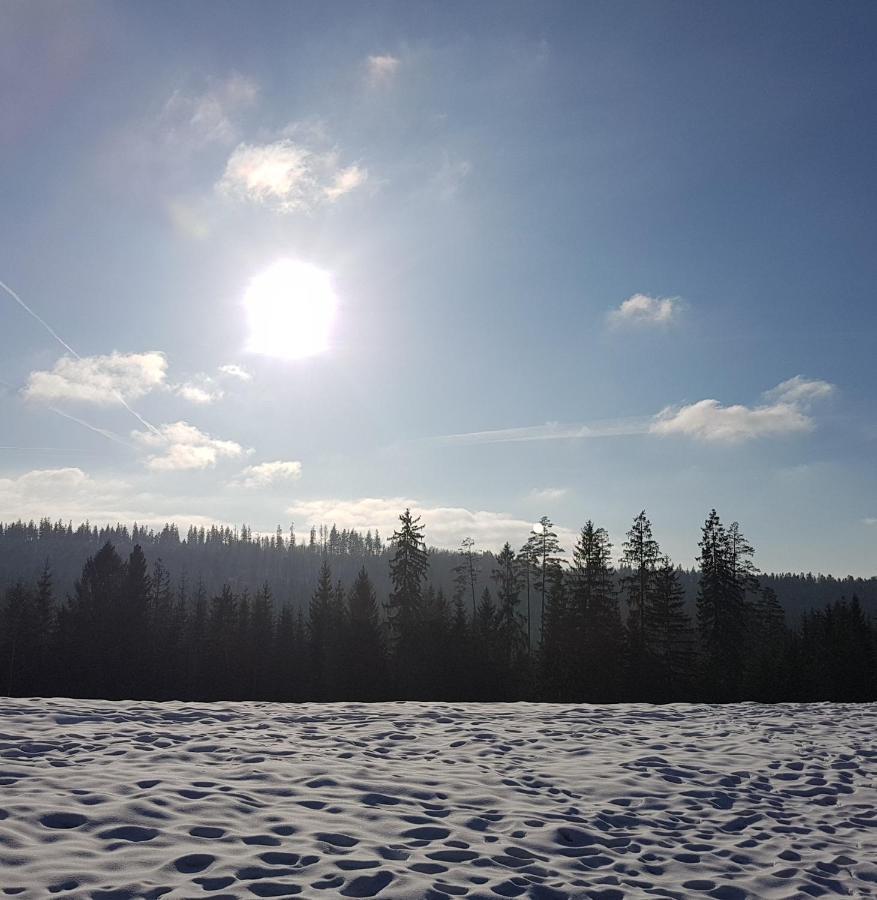 Koniakowo - Dom Pinto Villa Buitenkant foto